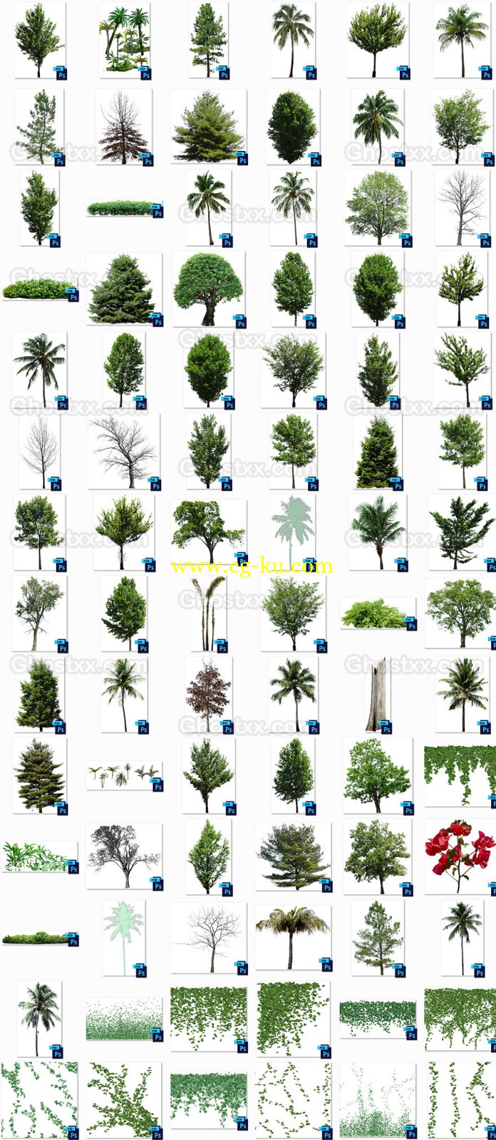 Got3D - Tree & Vine 90 Textures with Alpha Files的图片1