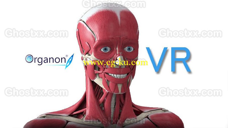 3D Organon Anatomy的图片1