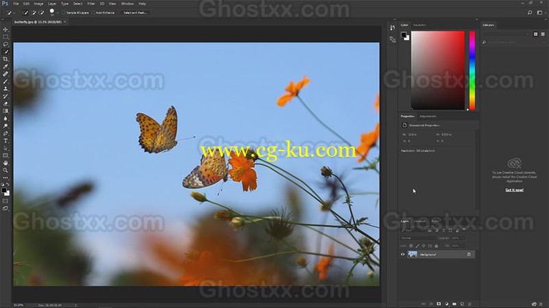 Skillshare - Photoshop CC 2017 Essential for Beginners的图片1