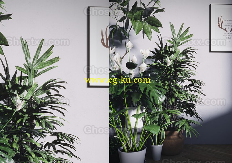A life of light - 3d model的图片1