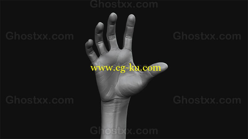 3DMotive - Hand Anatomy in ZBrush Volume 1-2的图片1