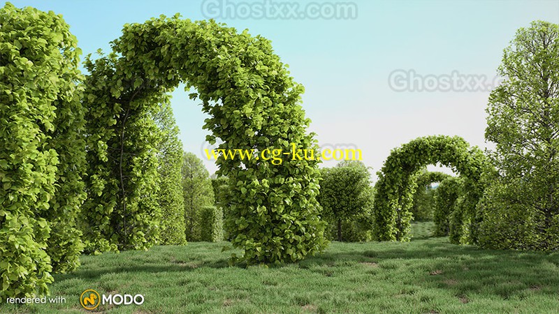 GrowFX的图片1