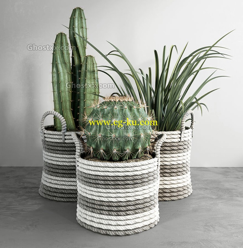 3D MODELING & VISUALIZATION - cactus的图片1