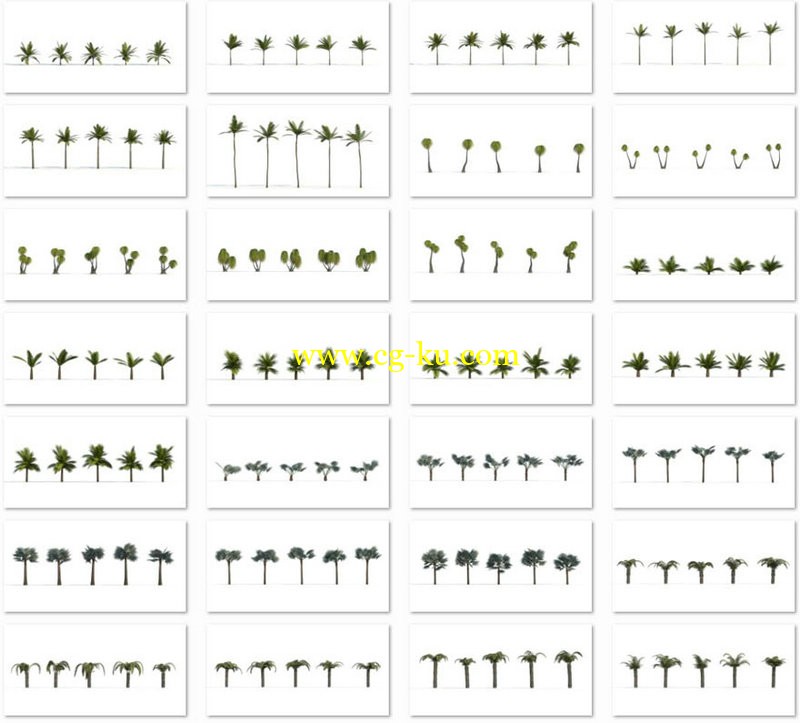 iTrees.vol.1的图片1