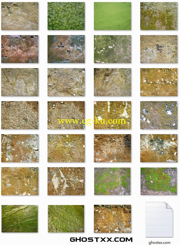 mightydeals - lichen moss textures set1的图片1