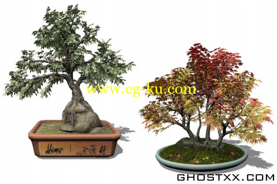 Xfrog 盆栽植物模型库的图片1