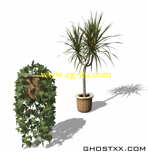Xfrog 室内植物，盆栽植物模型库的图片1