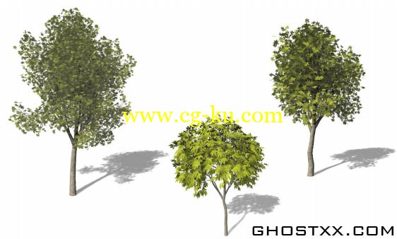 Xfrog 美国东部植物模型库的图片1
