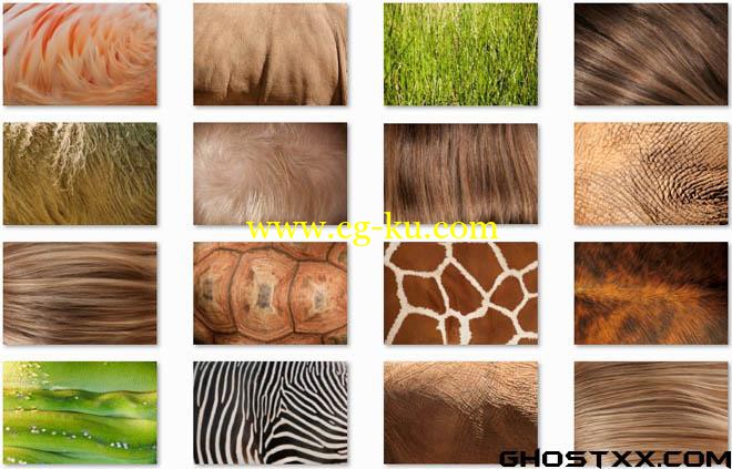 gma texture set04 skin&fur的图片1