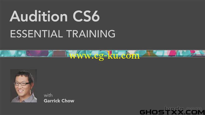 2 Lynda Audition Essential Training的图片1