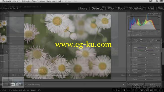 7 Lynda Lightroom training的图片1