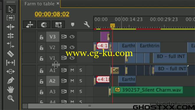 5 Lynda Premiere Pro Training的图片4