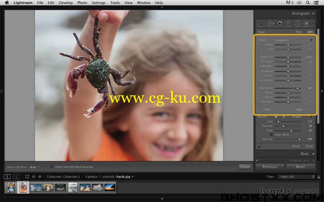 28 Lynda photoshop training的图片16