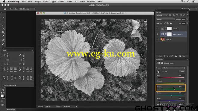 28 Lynda photoshop training的图片17