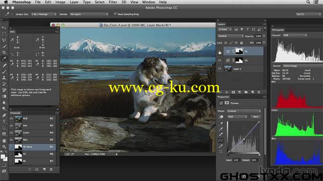 Photoshop Color Correction - Advanced的图片1