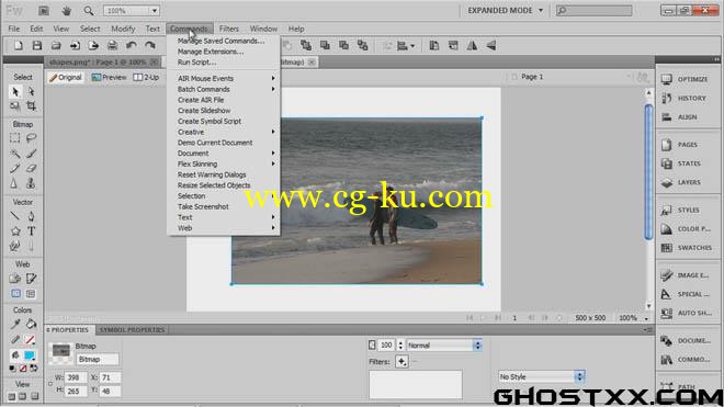 Total Training - Adobe Fireworks CS5的图片1