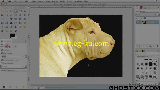 Lynda - GIMP Essential Training 2012的图片1