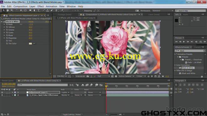 4部Lynda系列的Premiere Pro大师教程的图片2