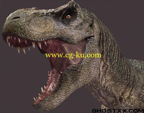 all dinosaurs 3d models C4D Rigged的图片1