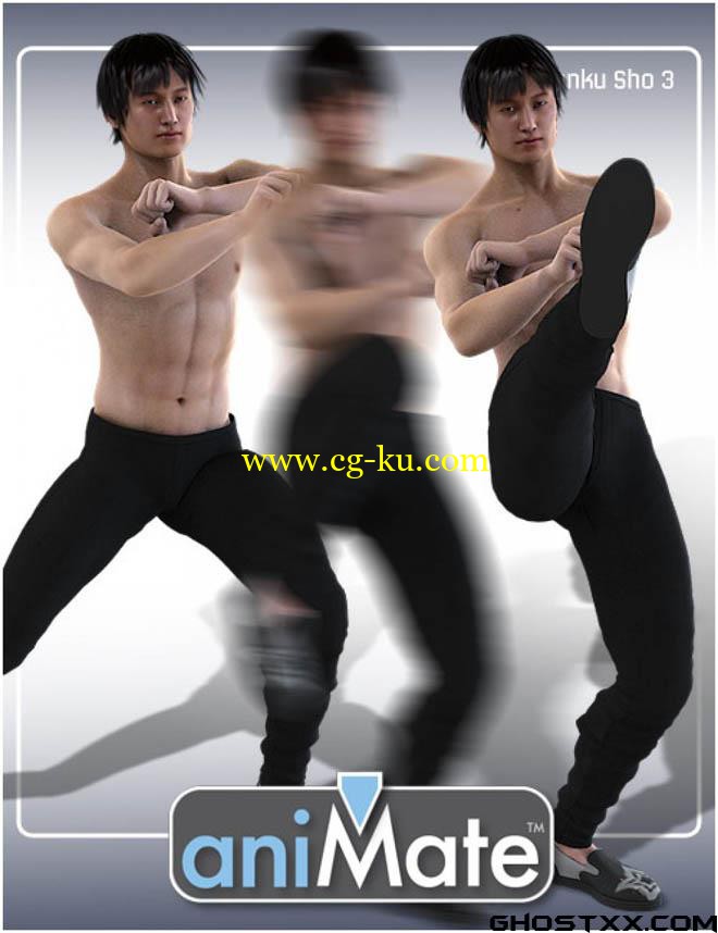 Daz/Poser - AniMate Martial Arts Combos的图片1