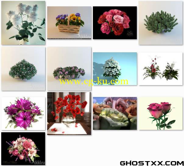 3DDD Plants的图片1