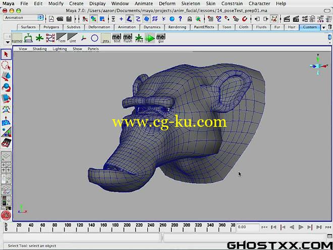 Fahrenheit Digital FACIAL RIGGING FOR FEATURE ANIMATION的图片1