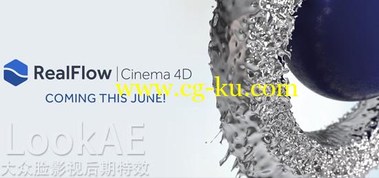 Win/Mac版：C4D插件：Realflow 与 Cinema 4D  桥接插件 Realflow Connectivity Plugin for Cinema 4D的图片1