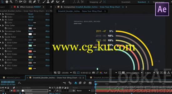 AE教程：信息数据柱状图统计动画制作教程 Lynda – After Effects Guru Animating Infographics的图片1