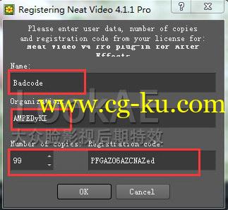 AE插件：专业视频降噪插件 ABSoft Neat Video Pro v4.1.1  (Win64)的图片2