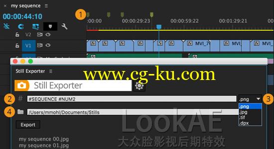 Pr扩展插件：静帧图片快速导出插件 Aescripts Still Exporter v1.0.1 For Premiere Pro的图片1