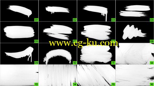 视频素材：16组画笔笔刷涂绘动画素材 Natural Paint Brush Pack的图片1