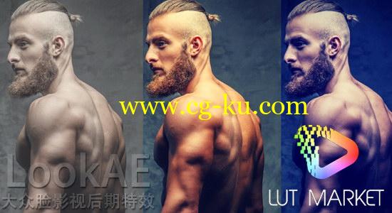 80组LUTs电影调色预设 Lut Market VIVID PRO LUTs Pack Win/Mac的图片1
