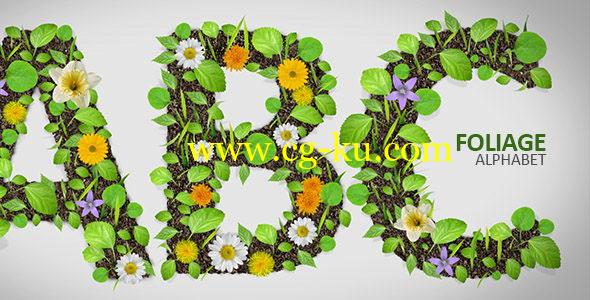 AE模板：植物生长蔓延花开数字字母动画展示 Foliage Alphabet的图片1