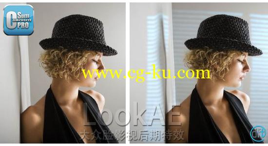 AE/PR/VEGAS/NUKE/OFX DFT视觉特效合集插件 Digital Film Tools Composite Suite Pro 2.0v7 CE的图片1