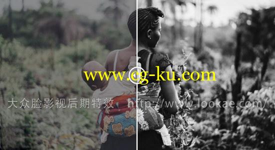 16种黑白风格专业电影LUTs调色预设 Black White Films Win/Mac的图片1