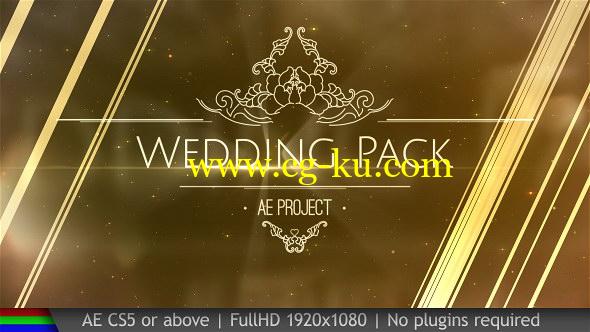 AE模板：大气金色粒子婚礼图文展示包装 Wedding Pack的图片1