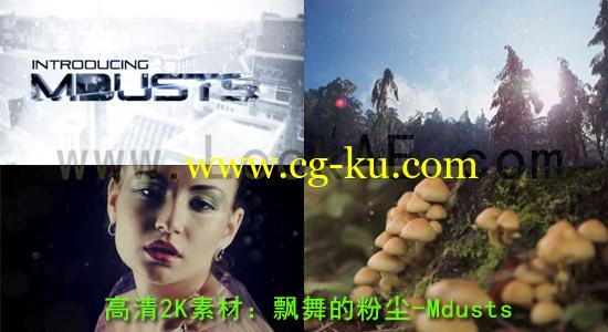 高清2K素材：100组飘舞的粉尘 motionVFX Mdusts的图片1