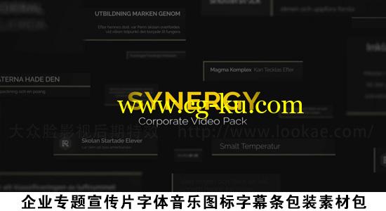 企业商务专题宣传片字体音乐图标字幕条包装素材包 Synergy的图片1