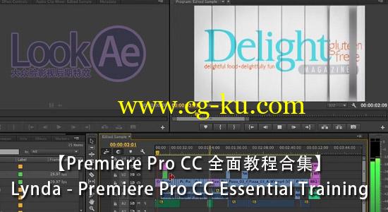 Lynda – Premiere Pro CC Essential Training 全面教程合集的图片1