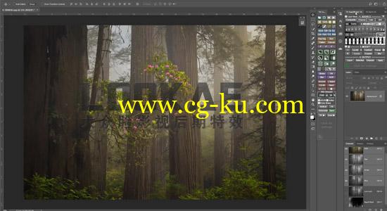 PS插件：亮度蒙版扩展插件 TKActions V5 + V6 Panel for Photoshop的图片1