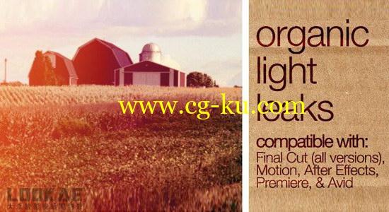153个炫光素材 + FCPX插件控制 FCPeffects – Organic Light Leaks的图片1