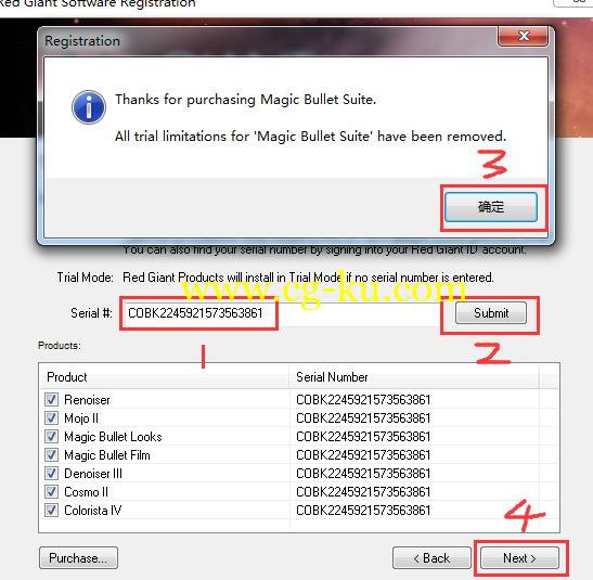 红巨人降噪磨皮调色插件套装 Red Giant Magic Bullet Suite v13.0.9 Win/Mac的图片2
