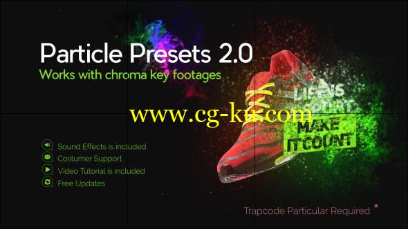 AE模板：粒子沙化飞散汇聚消融特效预设 Particle Presets的图片1