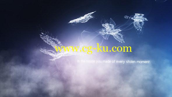 AE模板：抽象流光飞鸟特效片头 Concept of Freedom的图片1