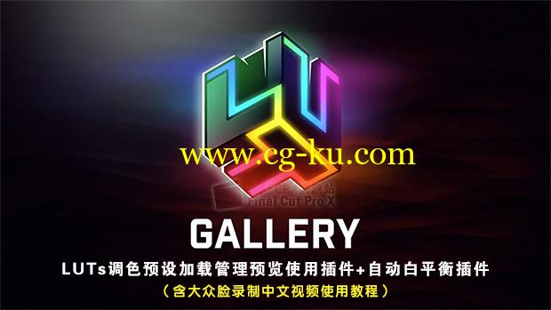 FCPX插件：LUTs调色预设加载管理预览使用插件+自动白平衡插件 LUT Gallery（含中文使用教程）的图片1