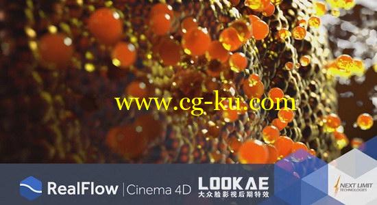 C4D流体模拟插件 NextLimit RealFlow 2.6.5.0095 Win/Mac破解版的图片1