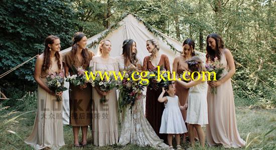 5组温暖柔和欧美风格婚LUTs调色预设 WIR – Timbre的图片1