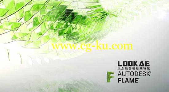 三维视觉特效合成软件 Autodesk Flame 2019.2 Mac 破解版的图片1