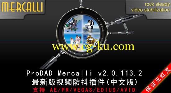 更新：视频稳定防抖插件 ProDAD Mercalli v2.0.113.2（多软件支持）32/64位的图片1