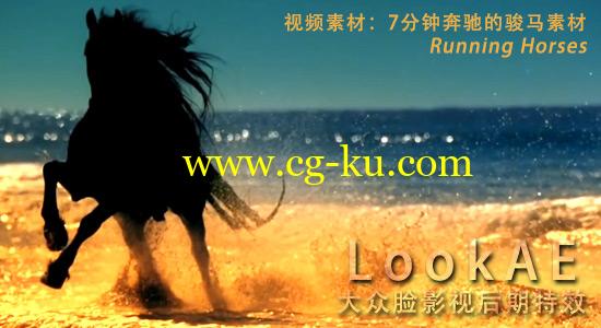 视频素材：7分钟奔驰的骏马素材 Running Horses的图片1